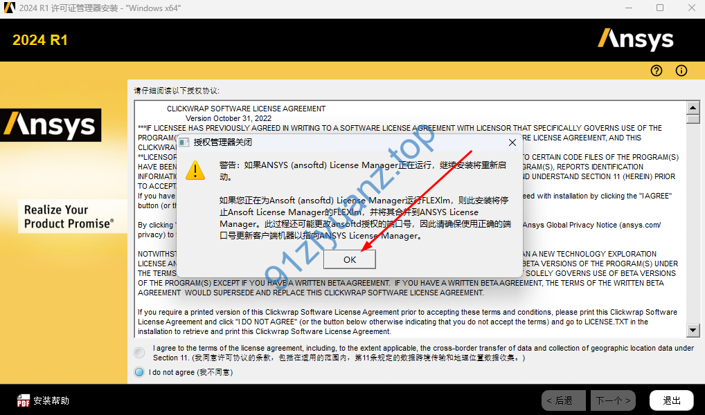 图片[6]-Ansys 2024详细安装教程-玖夭资源站