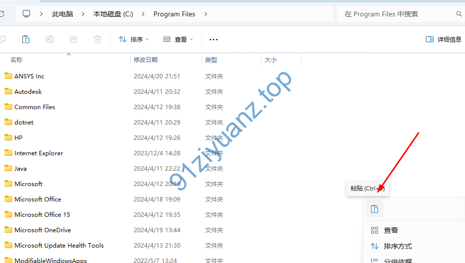 图片[17]-Ansys 2024详细安装教程-玖夭资源站