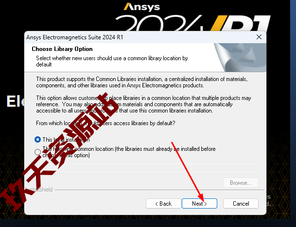 图片[14]-ANSYS.Electronics.Suite.2024.R1破解版安装包及详细安装教程-玖夭资源站