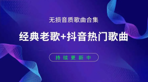 精选抖音热歌,dj舞曲,无损音质,草原歌曲,经典英文歌曲,华语乐坛,经典老歌,U盘必备歌曲-玖夭资源站